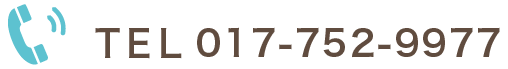 tel 017-752-9977