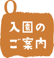 入園のご案内
