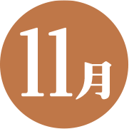 11月