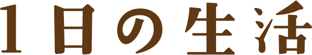 1日の生活